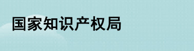 國(guó)家知識(shí)產(chǎn)權(quán)局